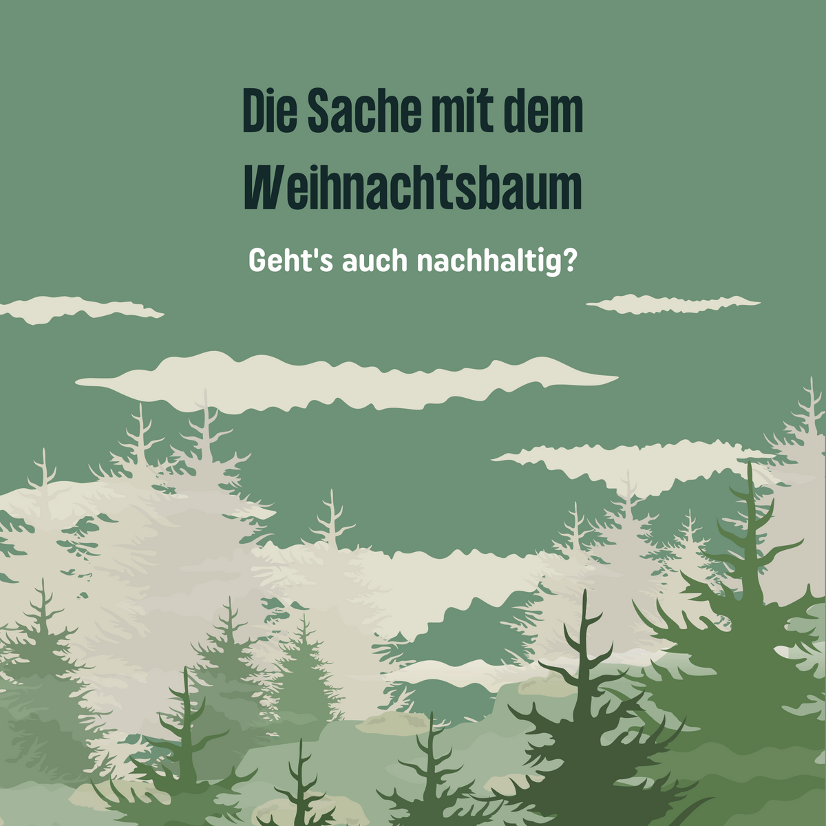 Die Sache mit dem Weihnachtsbaum - geht's auch nachhaltig?