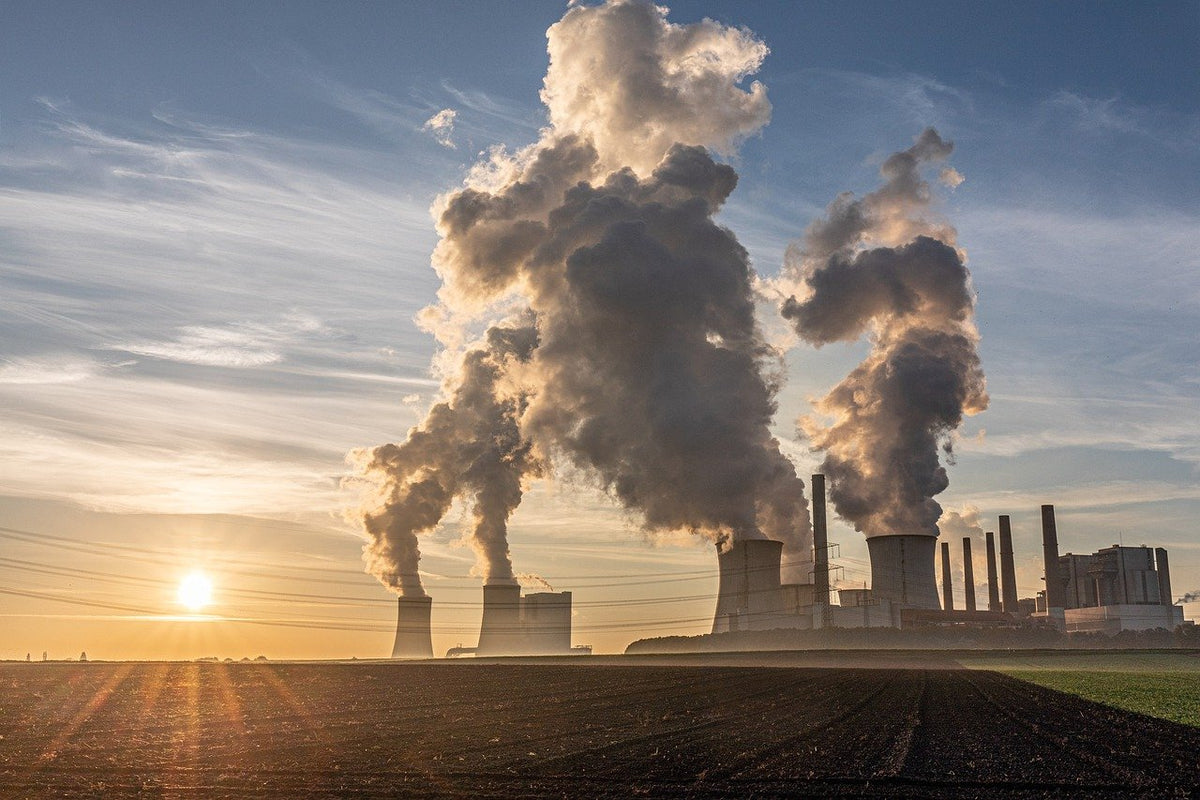 Klimawandel ist nicht echt? Gegenargumente für den Familientisch
